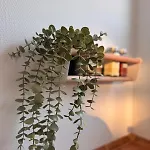 Waterkant Am Mit Sauna, Kamin & Garten Нордхорн