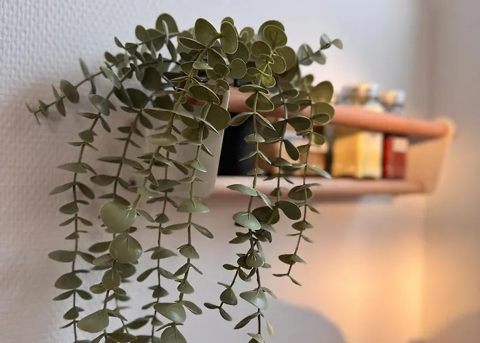 Waterkant Am Mit Sauna, Kamin & Garten Nordhorn